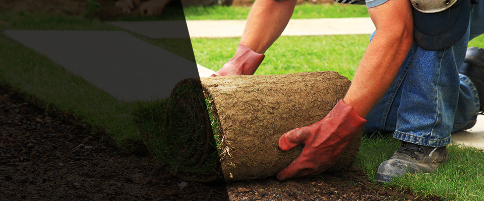 Atascadero Landscapers
